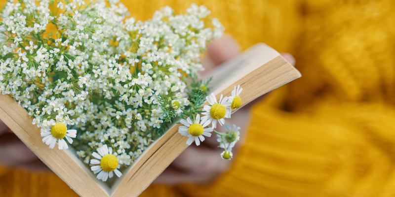 Litteratur i det frie - blomster