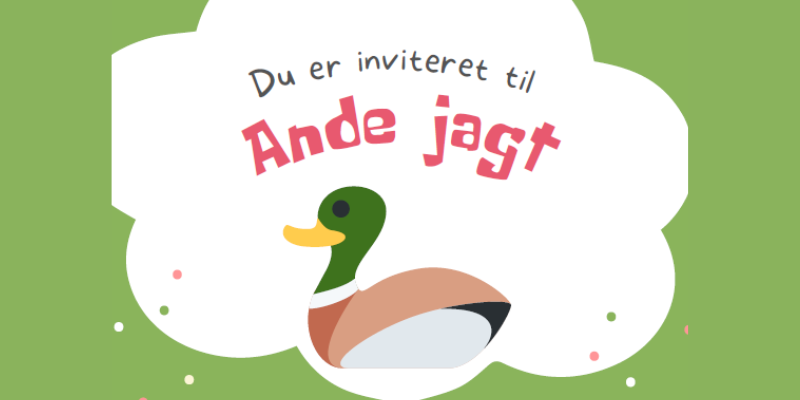 Andejagt på Ulrikkenborg Plads