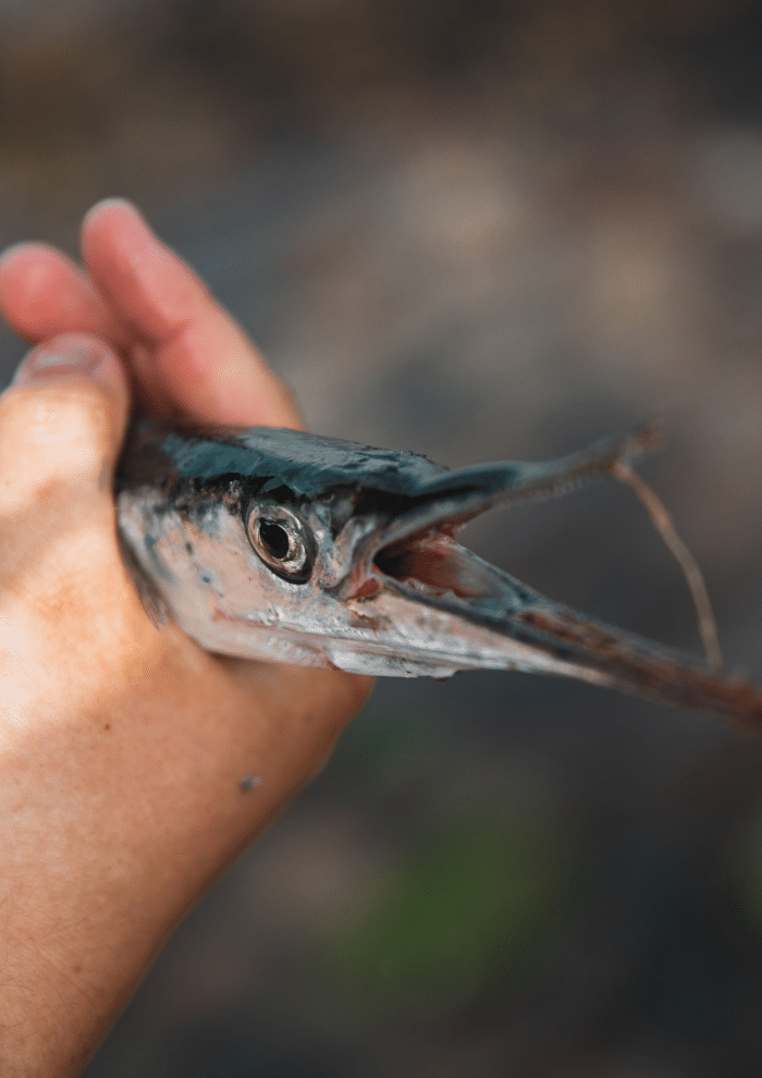 Fisketur til Poppelsøen for byens unge 